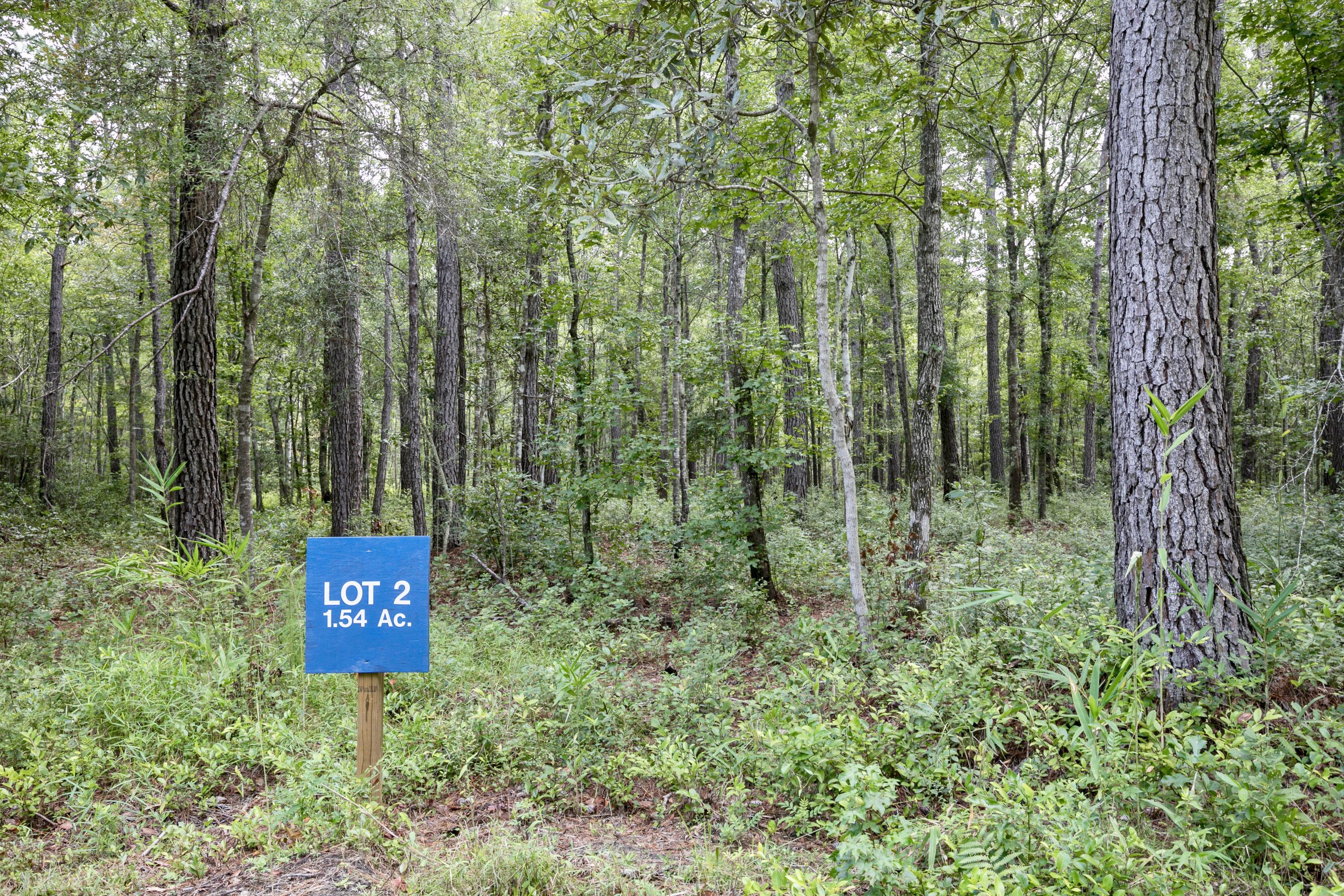 Lot 2 White Road Awendaw, SC 29429 - Photo 2 of 15 fullsizeoutput_7b4
