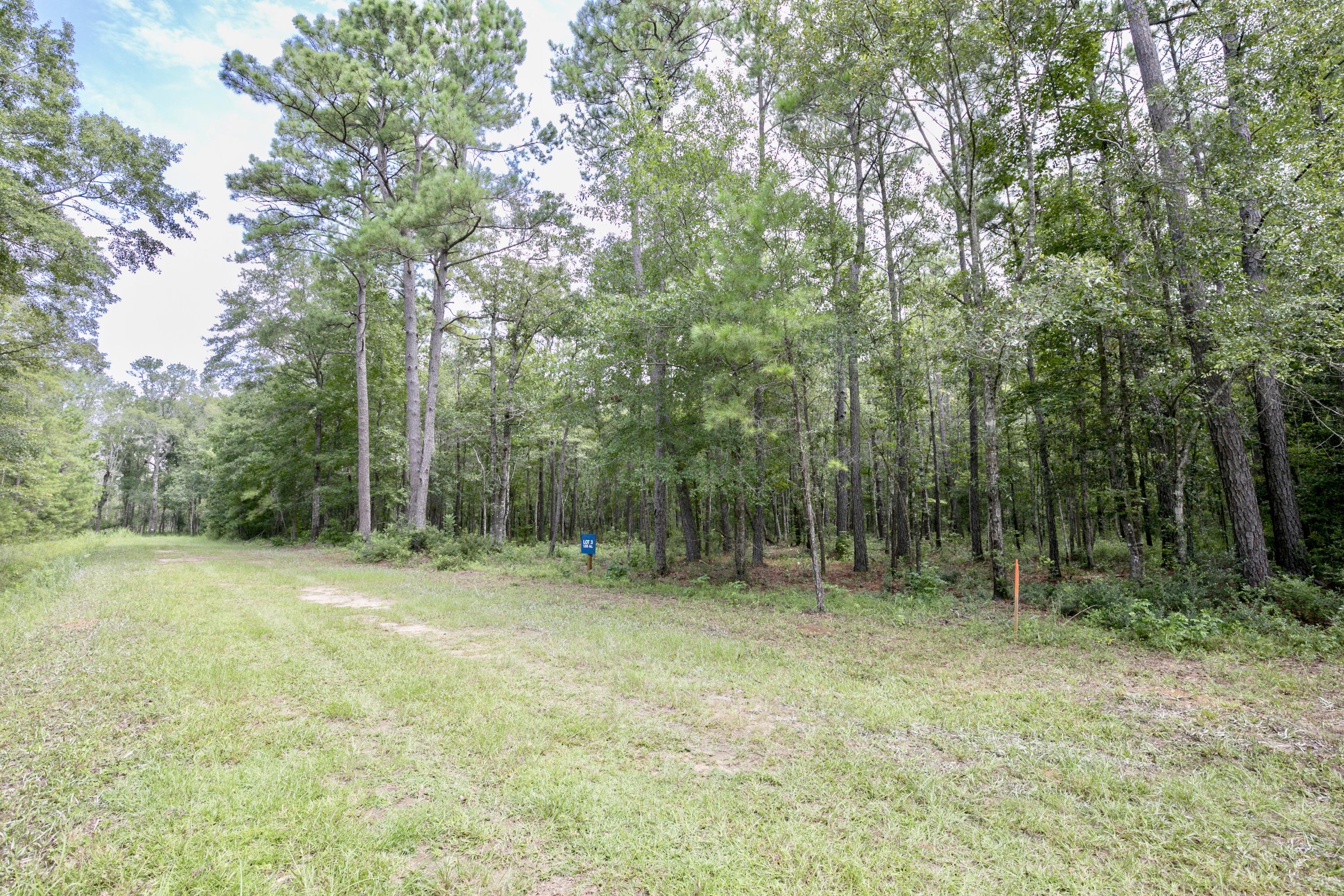 Lot 2 White Road Awendaw, SC 29429 - Photo 3 of 15 fullsizeoutput_7b7