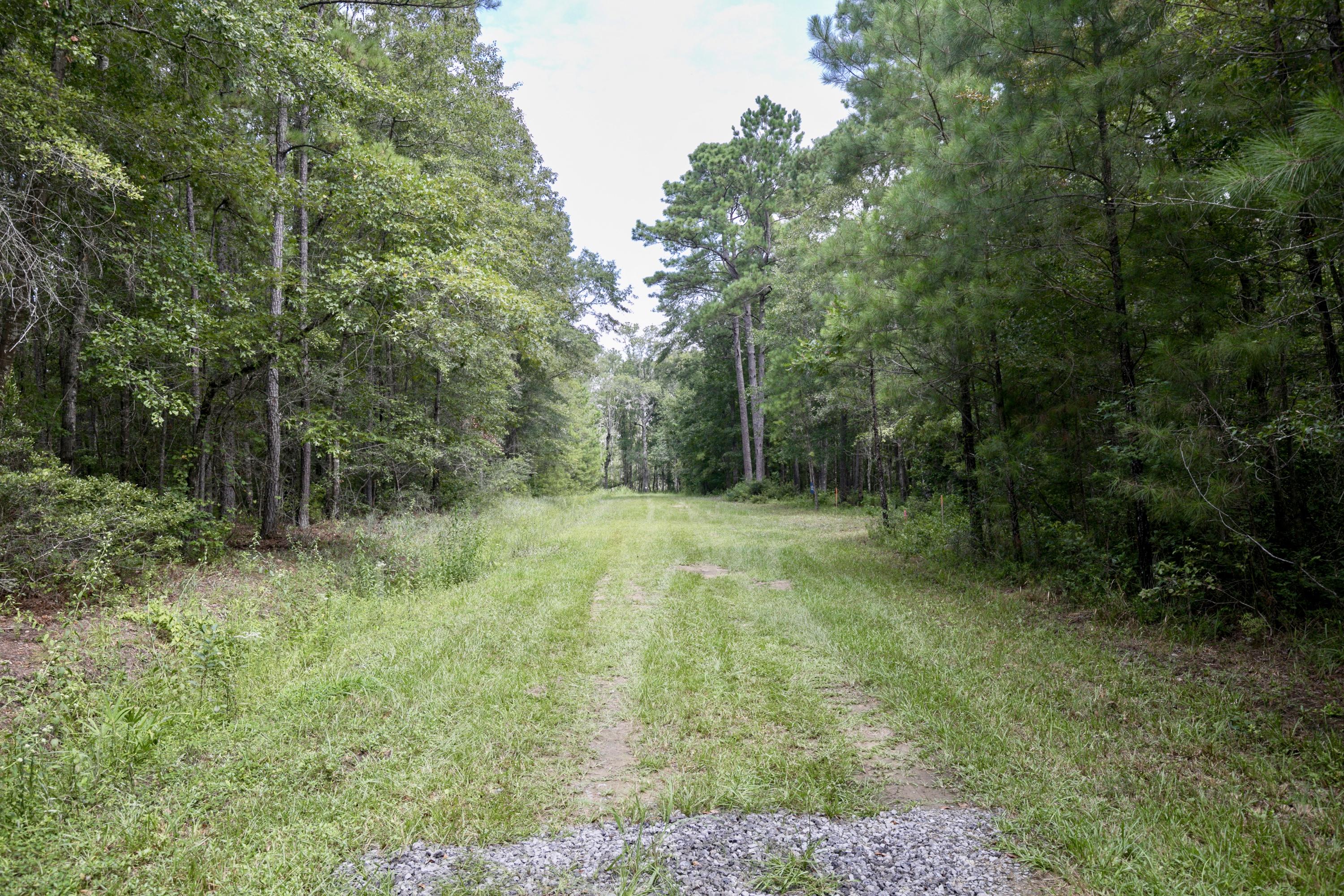 Lot 2 White Road Awendaw, SC 29429 - Photo 4 of 15 fullsizeoutput_7b8