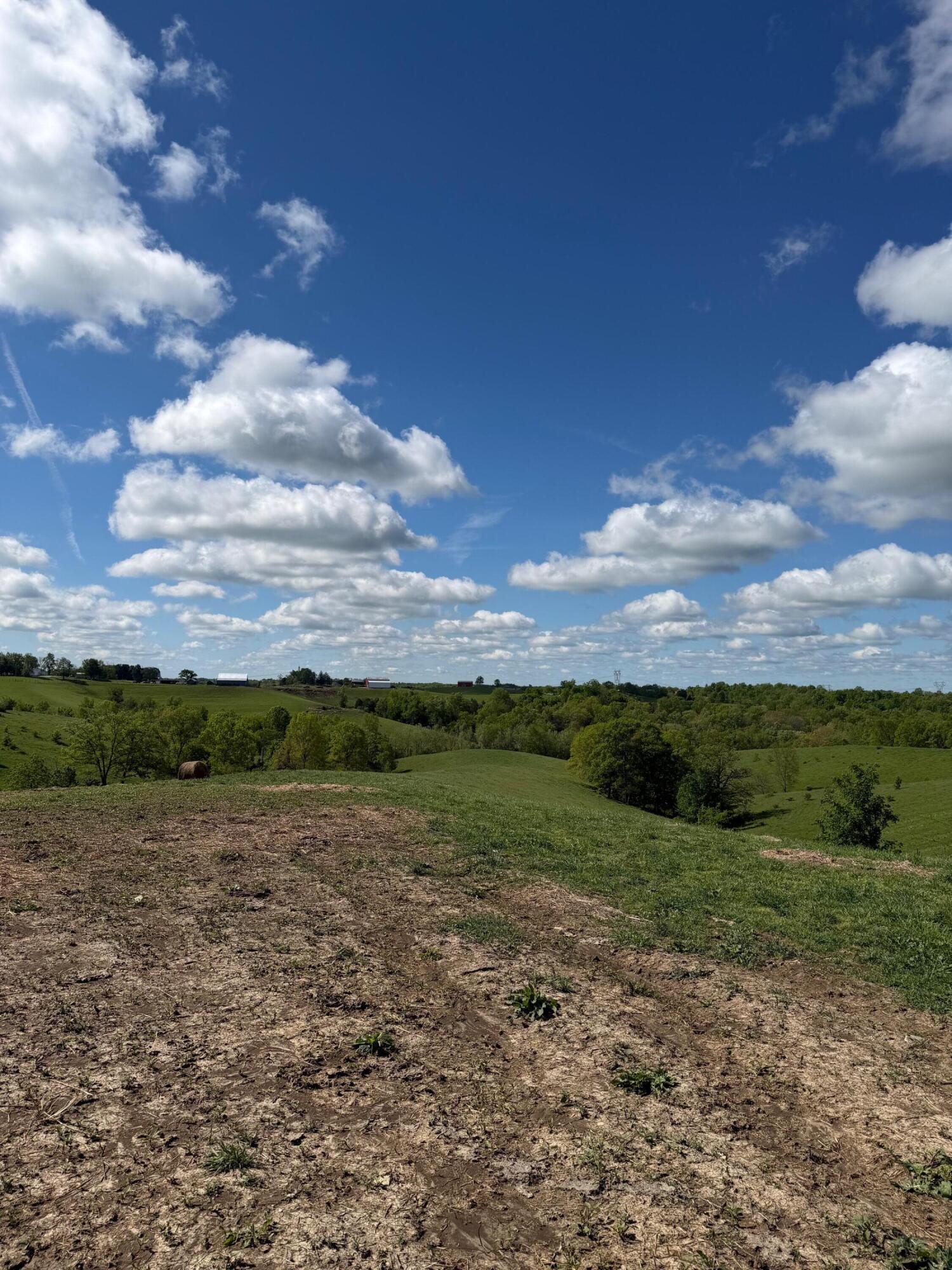 20.99-ac Chipman Ridge Road Williamstown, KY 41097 - Photo 12 of 21