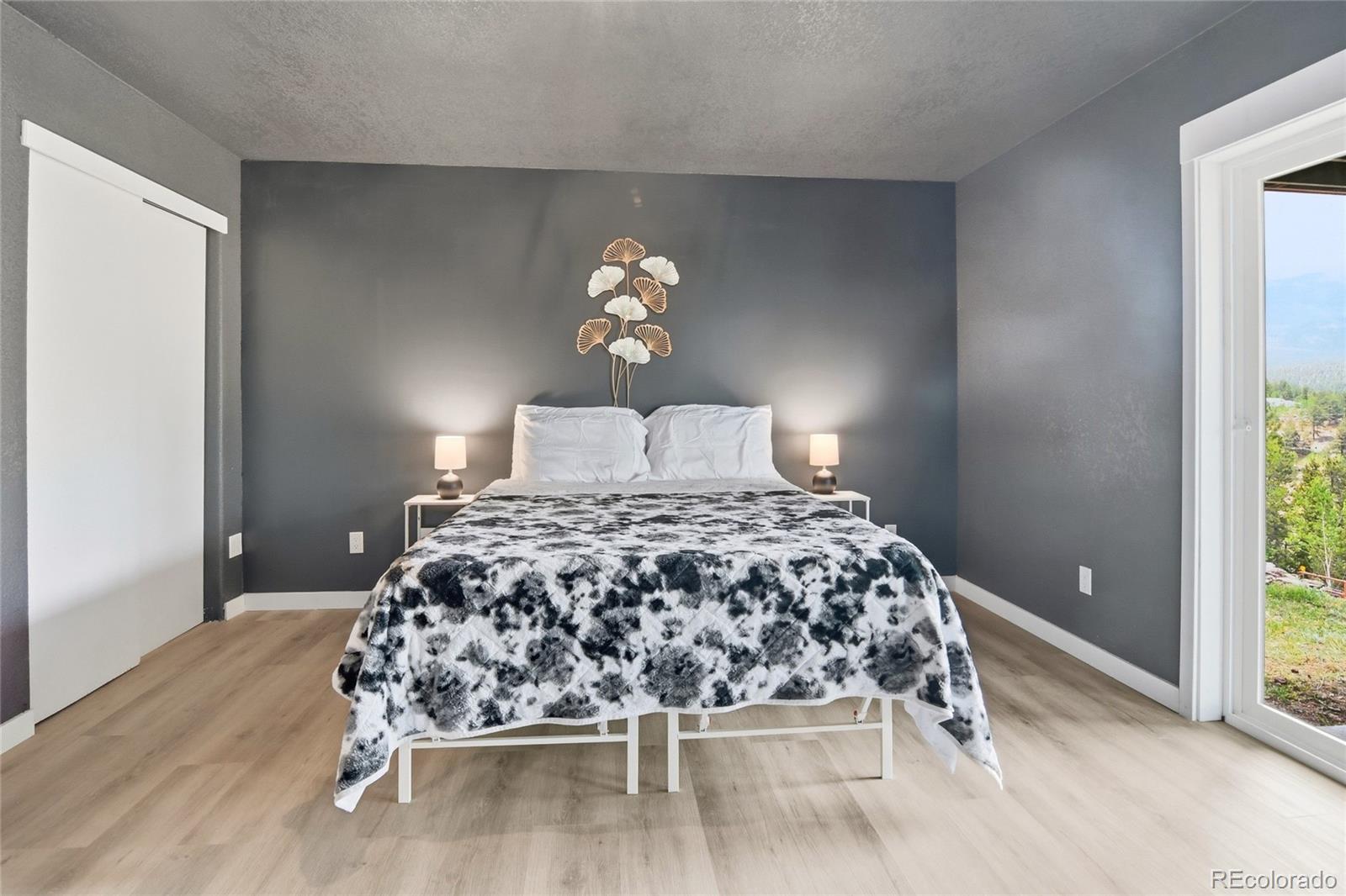 168 Wise Road Bailey, CO 80421 - Photo 25 of 33