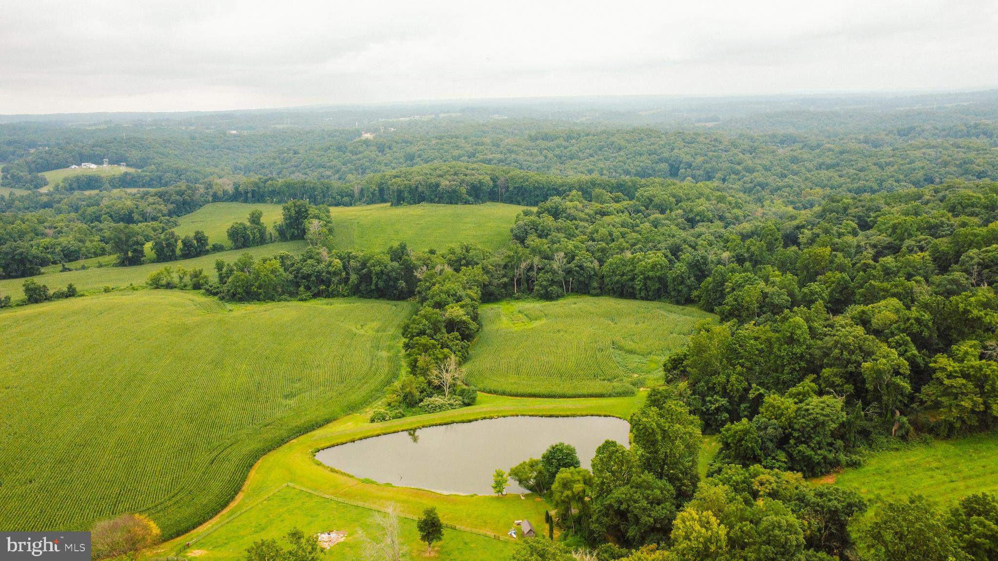 1132 Ridge Road Rising Sun, MD 21911 - Photo 49 of 54 Located in Rural Cecil Co (Pond not on property)