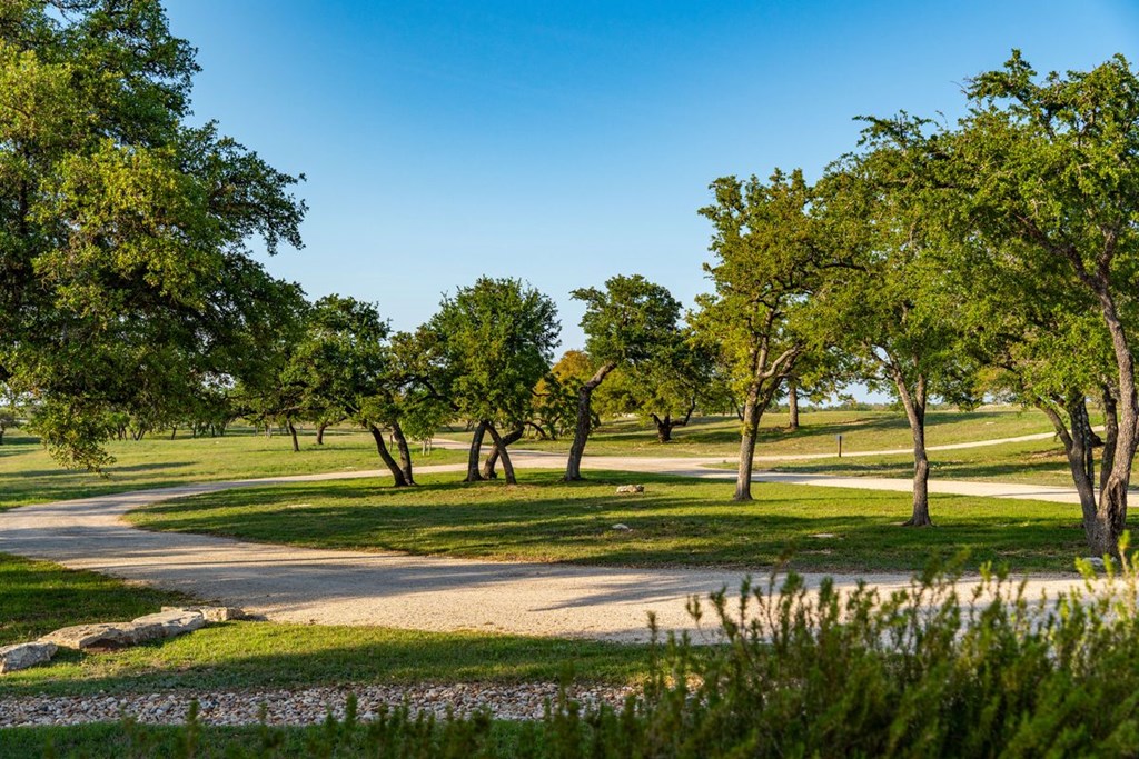 862 Grape Creek Road Fredericksburg, TX 78624 - Photo 6 of 91