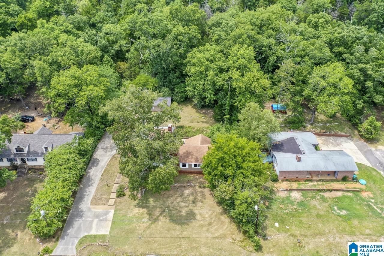 1202 Park Avenue Oneonta, AL 35121 - Photo 43 of 44