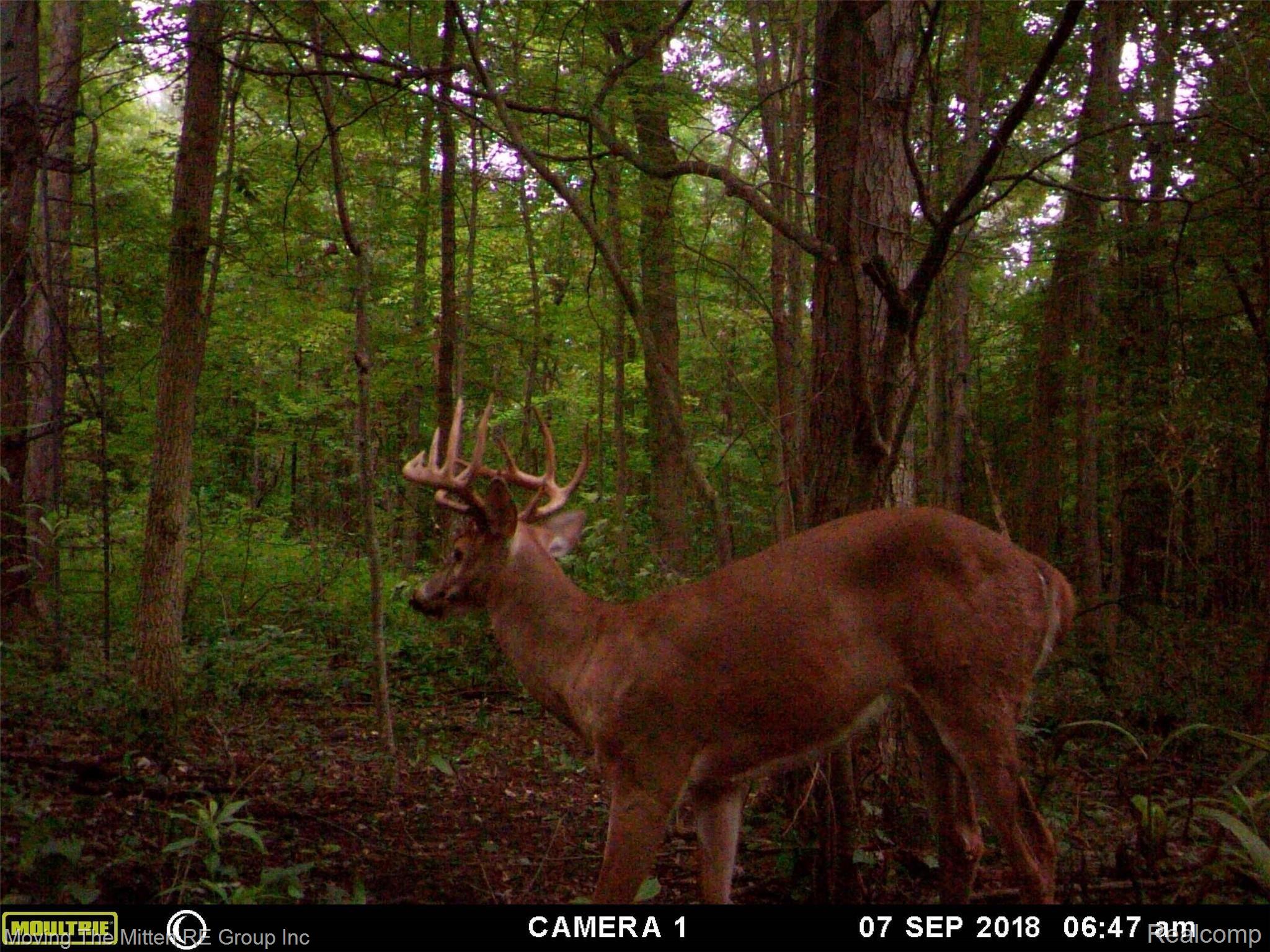 23741 Karr Road Belleville, MI 48111 - Photo 71 of 74 MFDC9191.JPG