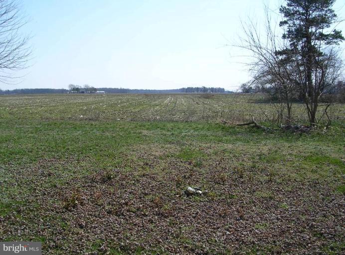 5215 Bethlehem Road Preston, MD 21655 - Photo 7 of 14 Back yard