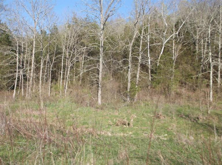 132 Mann Road Mount Olivet, KY 41064 - Photo 16 of 17 Gallery Image 16