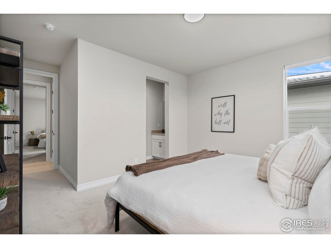 4344 Shivaree Court Timnath, CO 80547 - Photo 36 of 41 Bedroom #4 with views of the lake