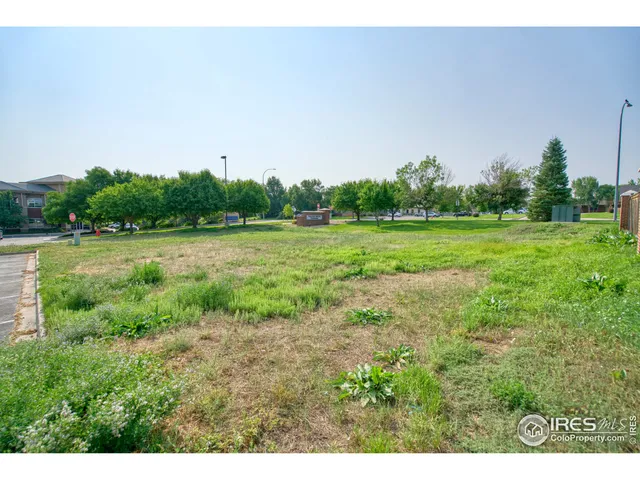 a view of a grassy field with trees