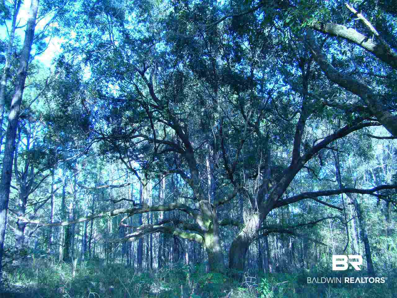 0 Lilly Wilson Lane Bay Minette, AL 36507 - Photo 5 of 9