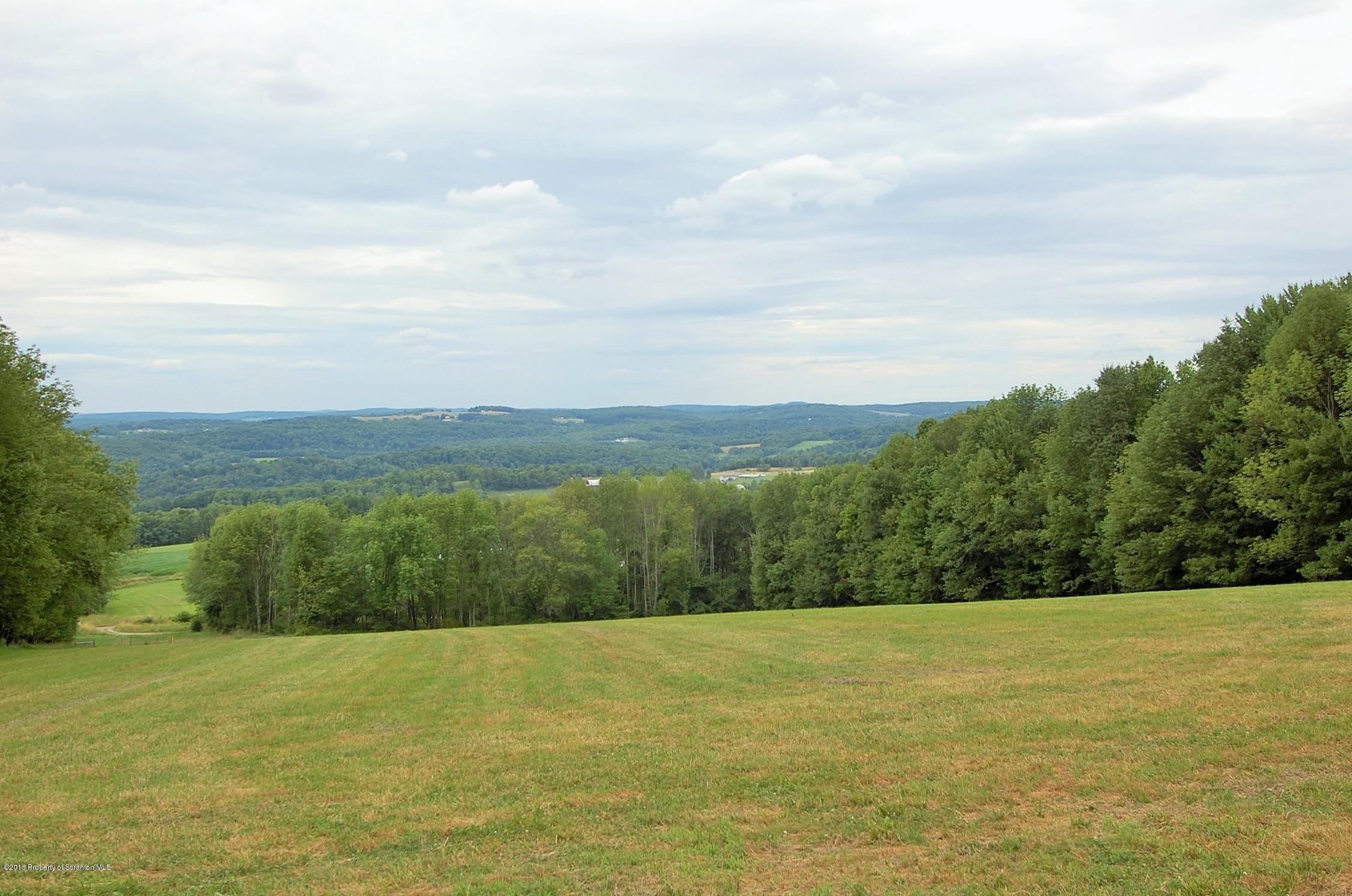 2074 Belcher Road Union Dale, PA 18470 - Photo 2 of 20 Gallery Image 2