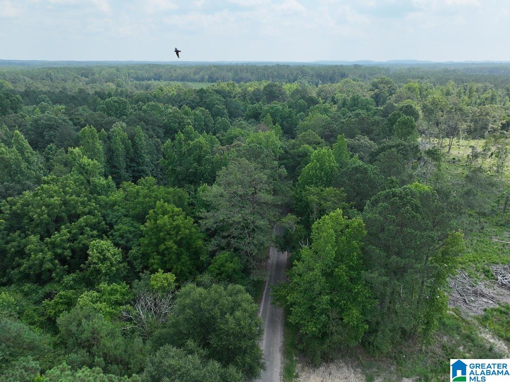 11 11 Foot Road Oakman, AL 35579 - Photo 19 of 25