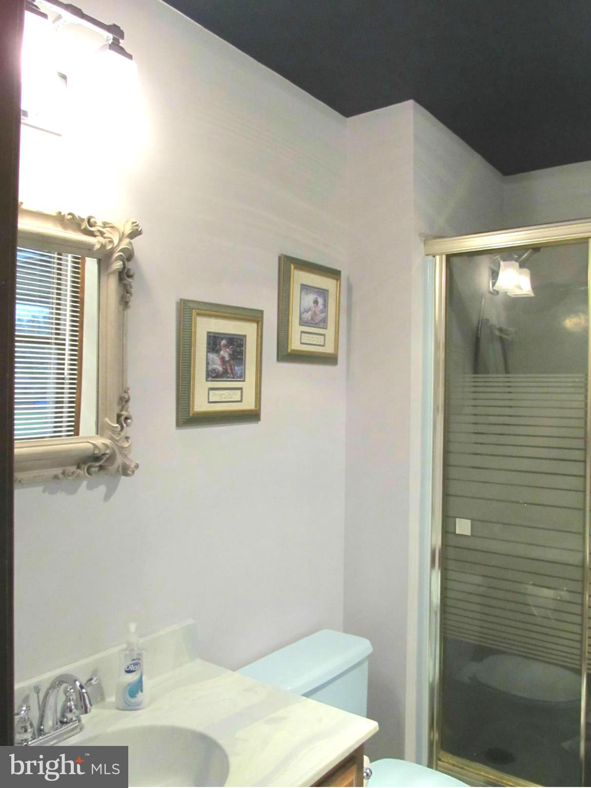 4839 Bushey Road Sykesville, MD 21784 - Photo 18 of 30 Owners Bath