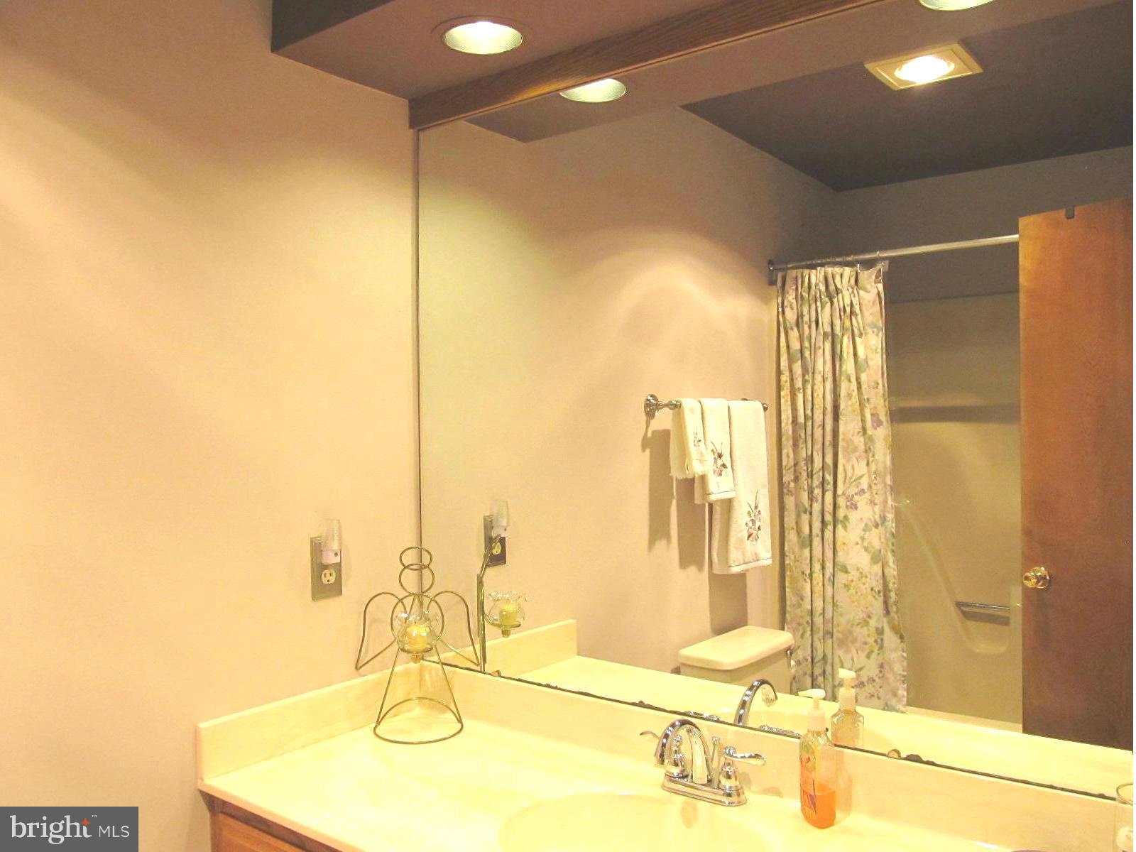 4839 Bushey Road Sykesville, MD 21784 - Photo 23 of 30 Hall Bath