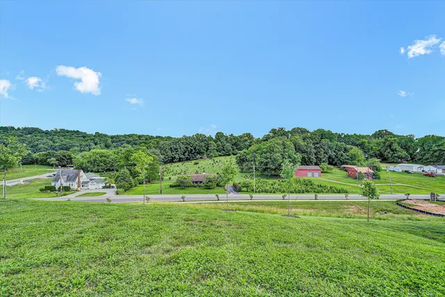 a house view with a garden space