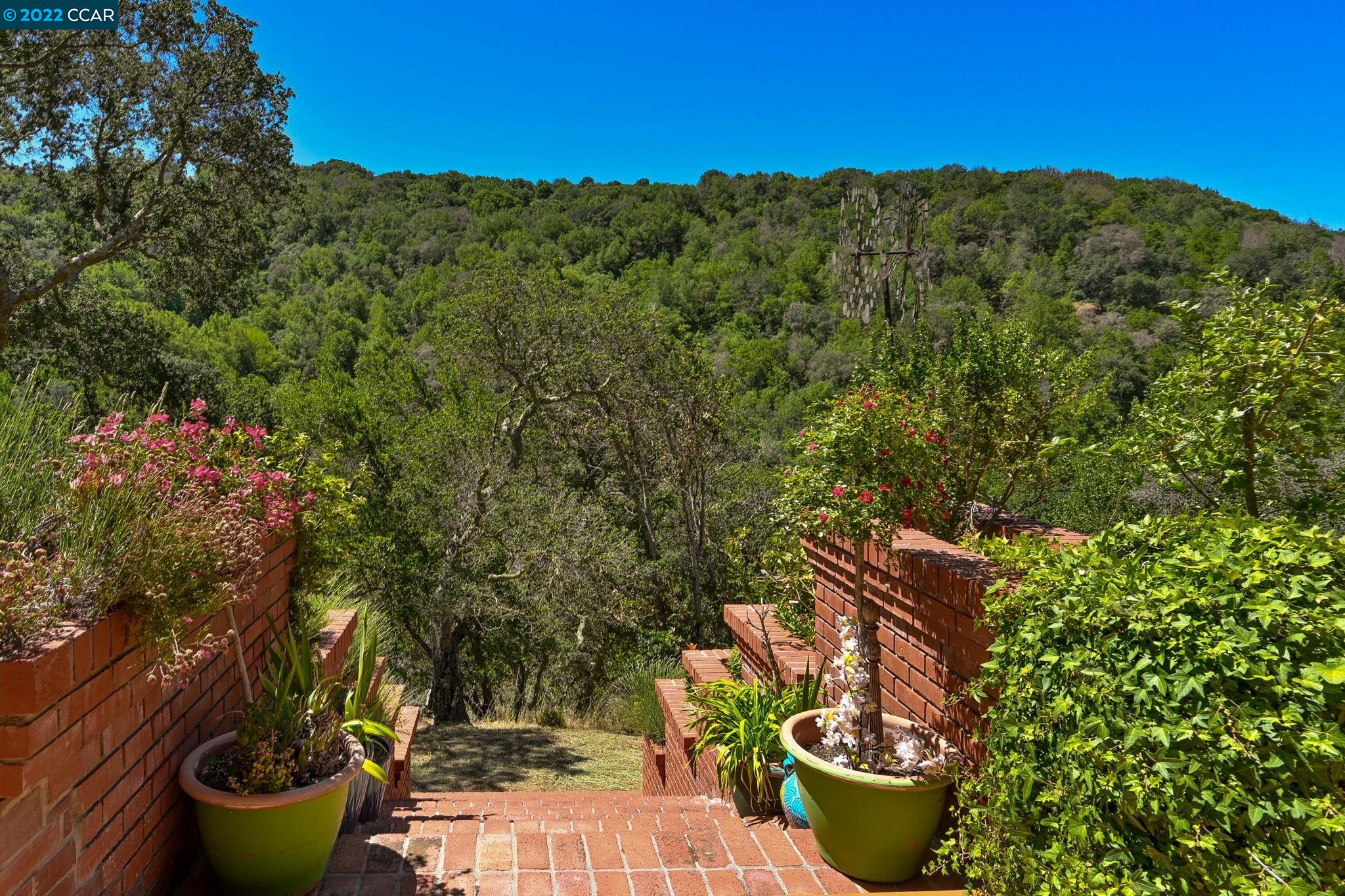 5433 Alhambra Valley Road Martinez, CA 94553 - Photo 39 of 59 a view of a backyard with table and chairs potted plants and tree