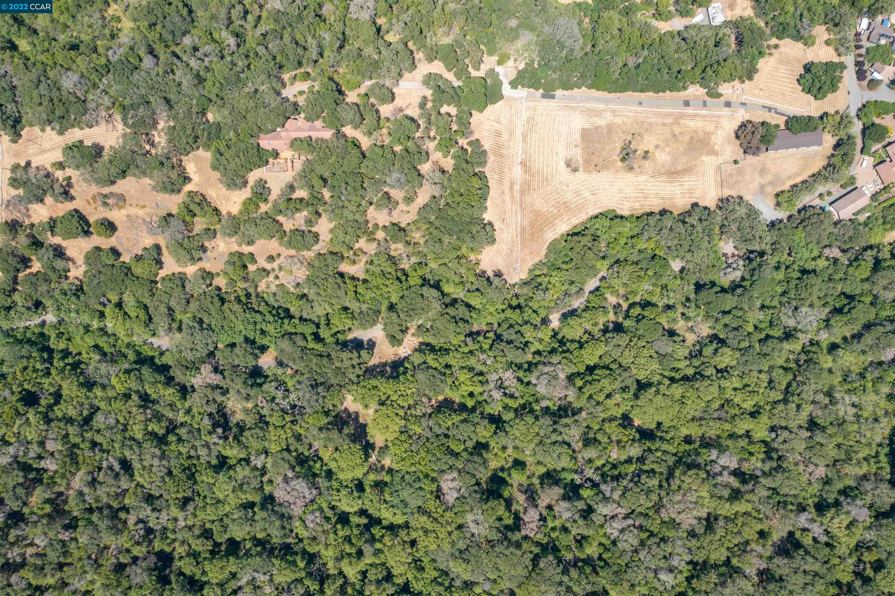 5433 Alhambra Valley Road Martinez, CA 94553 - Photo 59 of 59 a close up of a plant in a yard