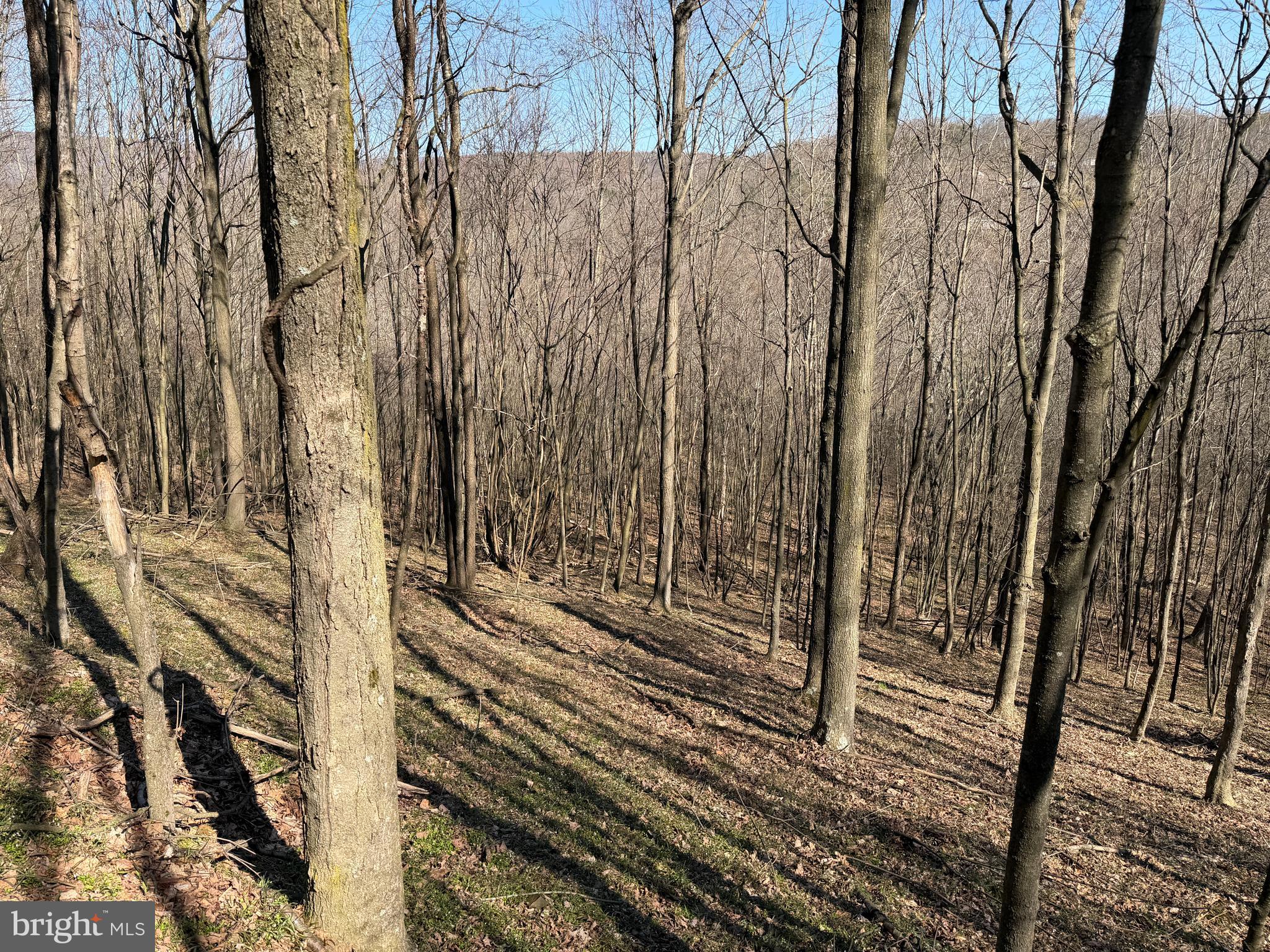 129-acres Black Hollow Road Schellsburg, PA 15559 - Photo 48 of 72