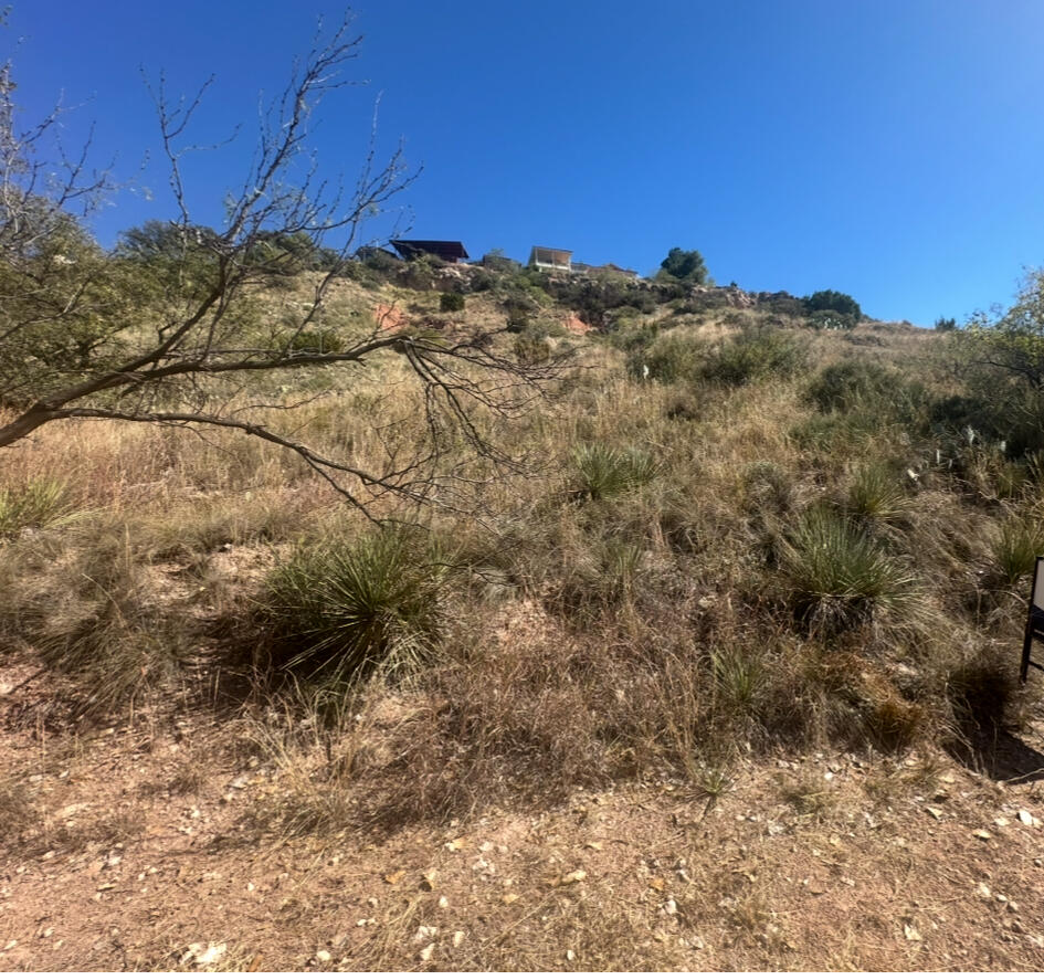 76 East Lakeshore Drive Ransom Canyon, TX 79366 - Photo 5 of 6 a view of a dry yard