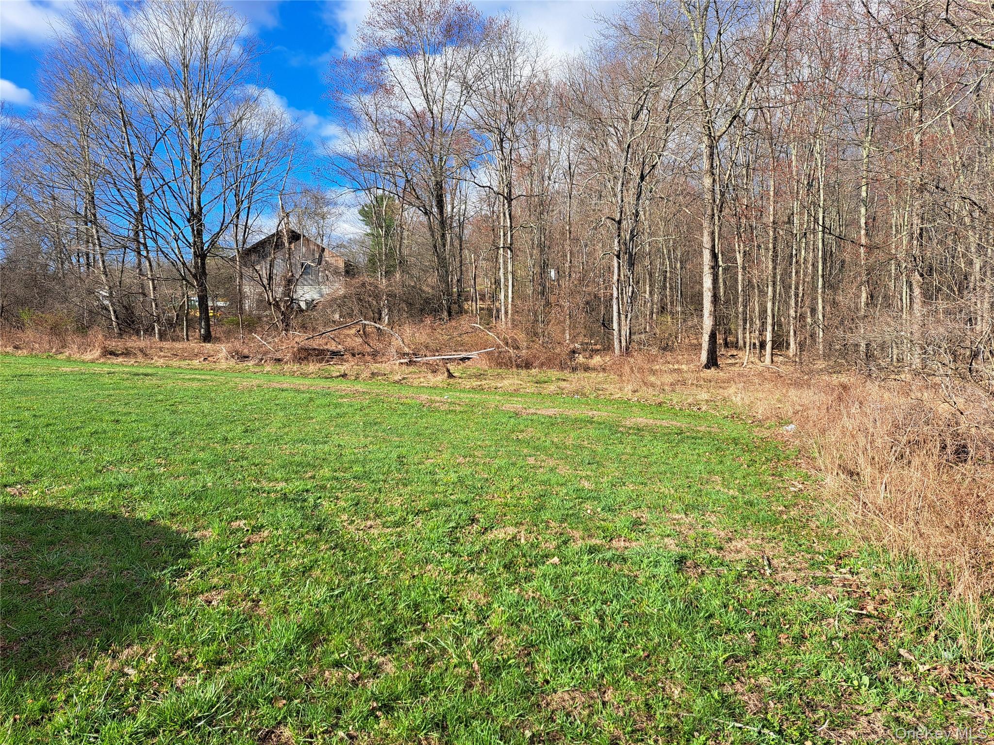 Van Burenville Road Middletown, NY 10940 - Photo 2 of 10 a backyard of apartments with large trees