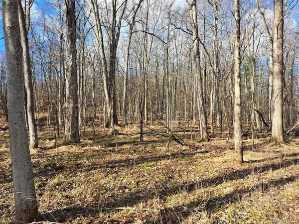 $125,000 | Van Burenville Road, Middletown, NY 10940
