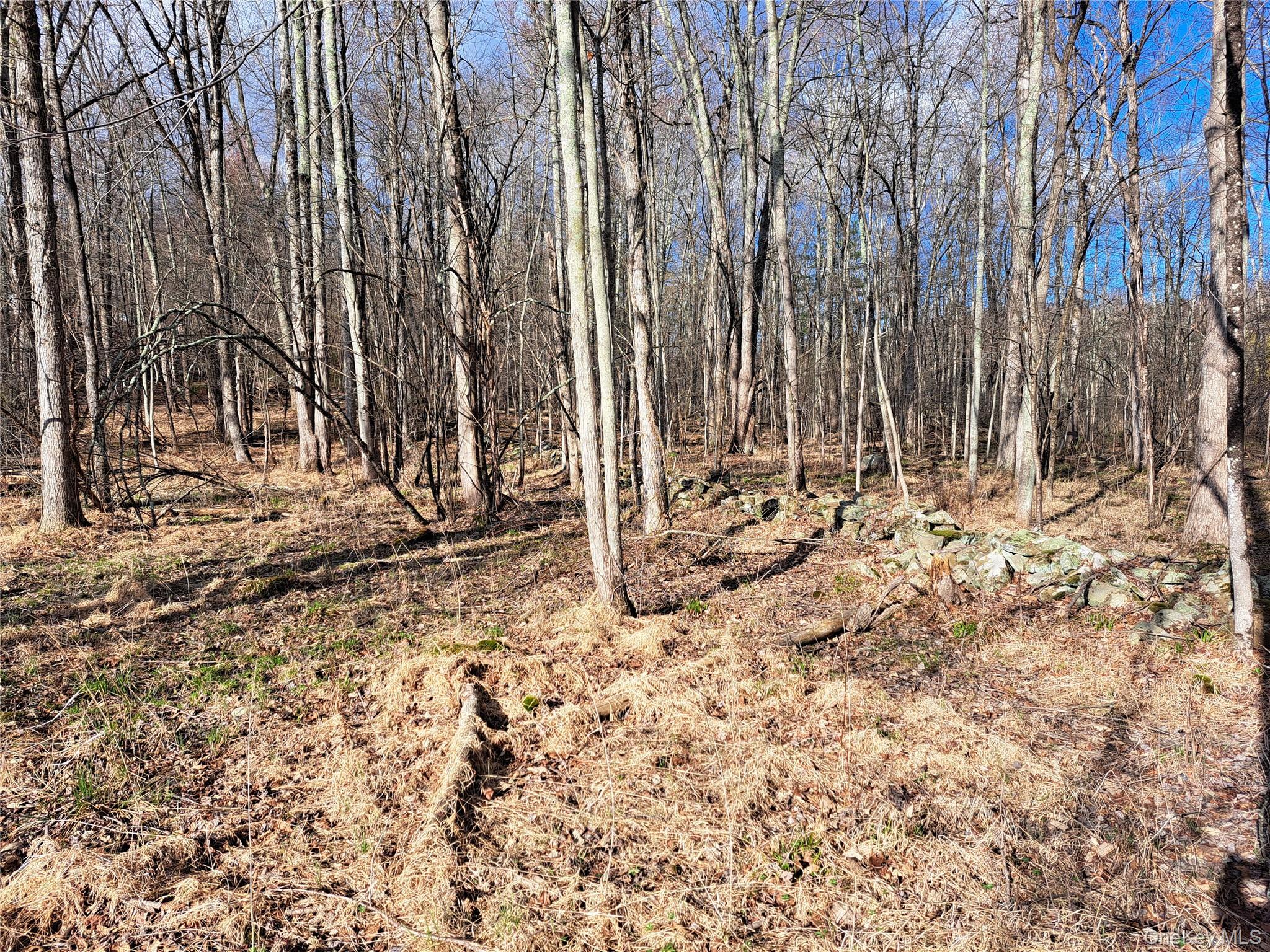 Van Burenville Road Middletown, NY 10940 - Photo 8 of 10 a view of wooden fence under a large tree