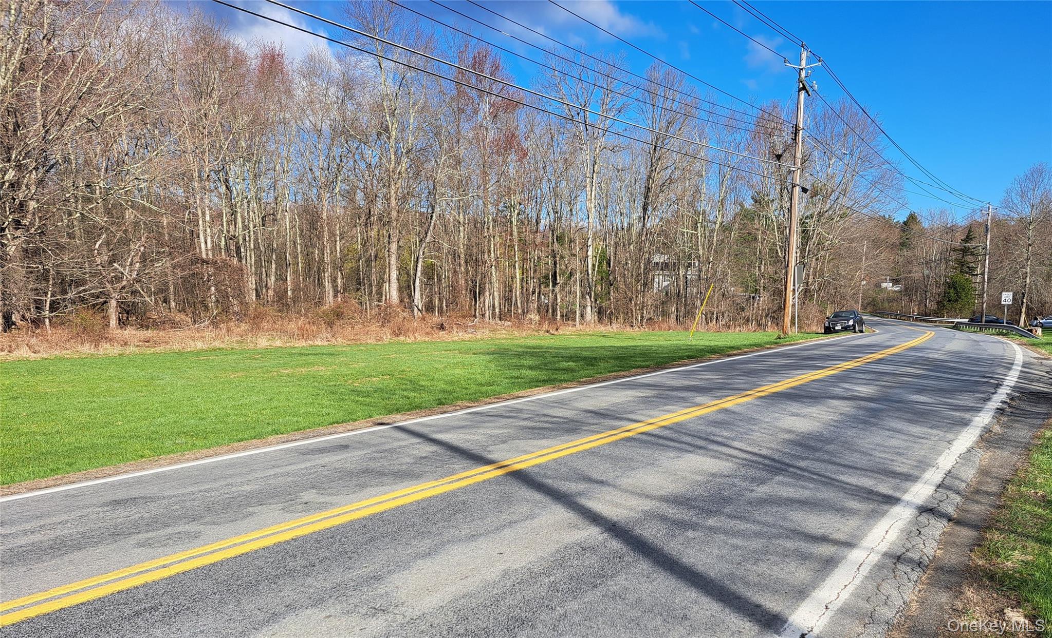 Van Burenville Road Middletown, NY 10940 - Photo 9 of 10 a view of a park with large trees