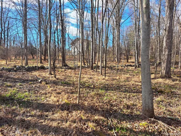 $125,000 | Van Burenville Road, Middletown, NY 10940