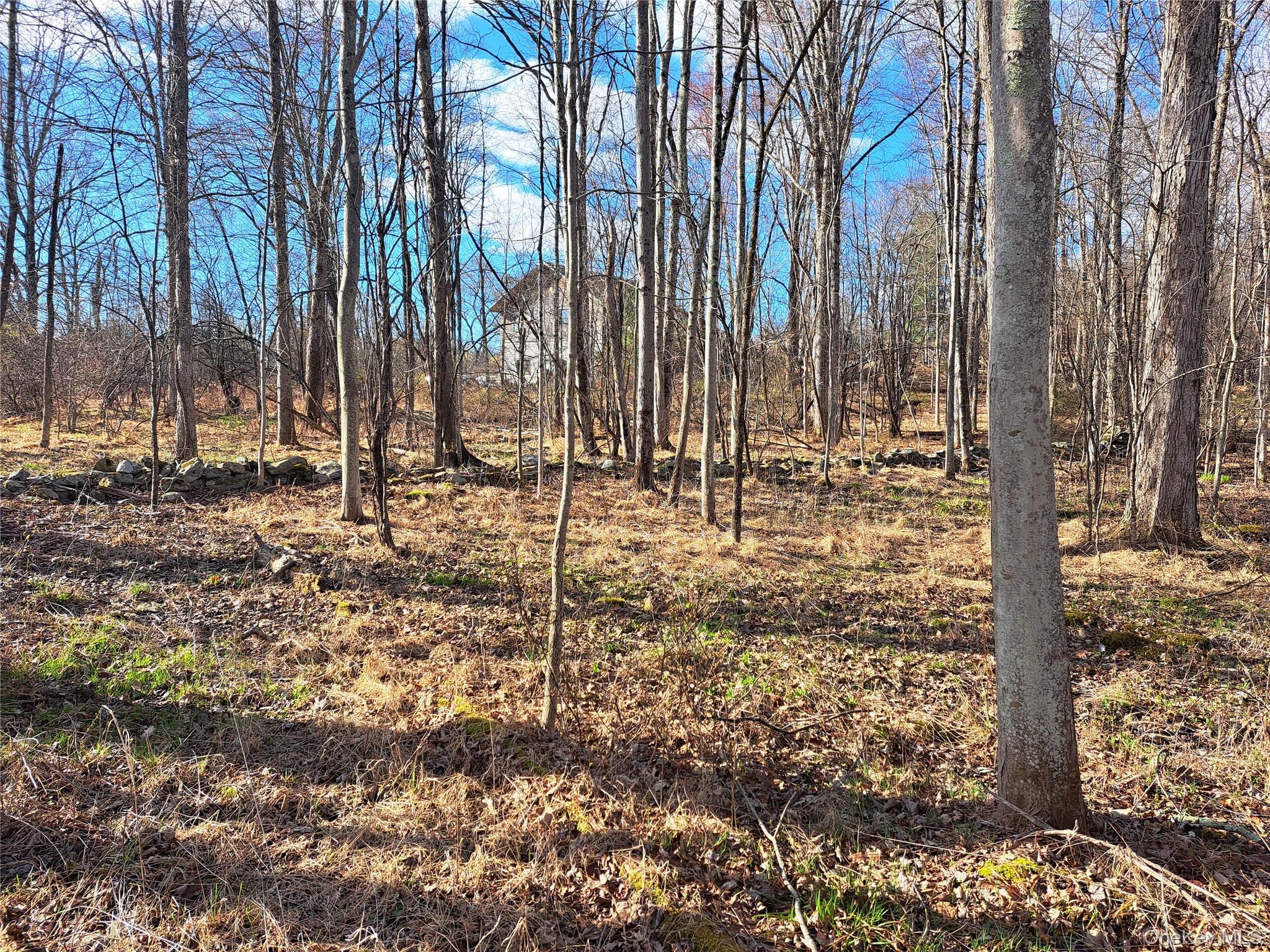 Van Burenville Road Middletown, NY 10940 - Photo 10 of 10 a view of a yard with trees