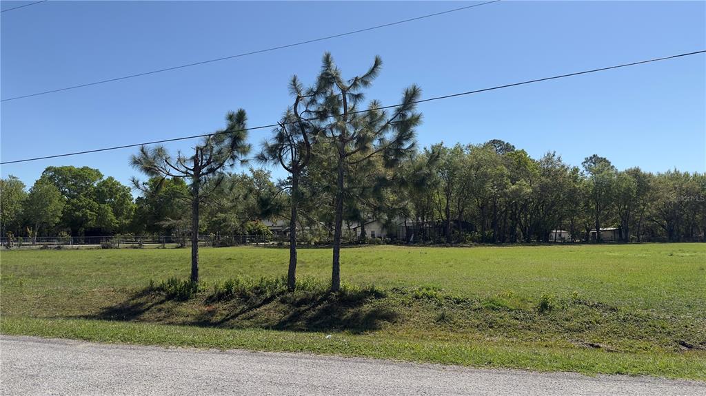 0 Haywood Ruffin Road St. Cloud, FL 34771 - Photo 4 of 22 Gallery Image 4