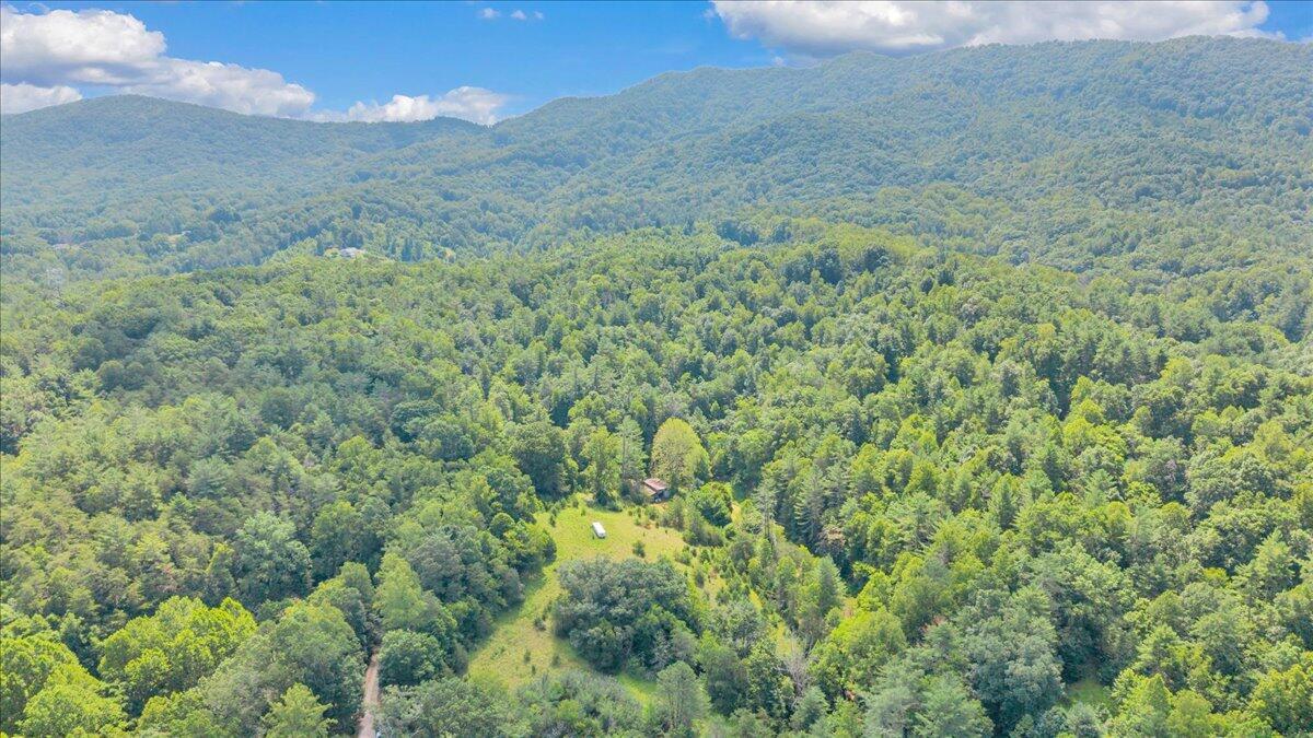 6624 Franklin Road Boones Mill, VA 24065 - Photo 53 of 57 52-DJI_20260707120053_0011_D