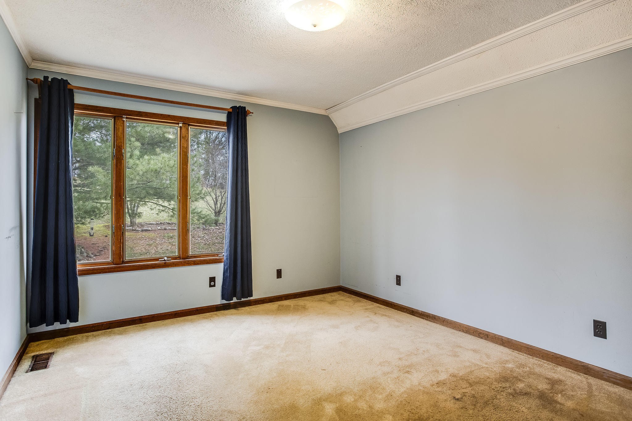 1443 Holbert Road Dandridge, TN 37725 - Photo 21 of 38 Gallery Image 21