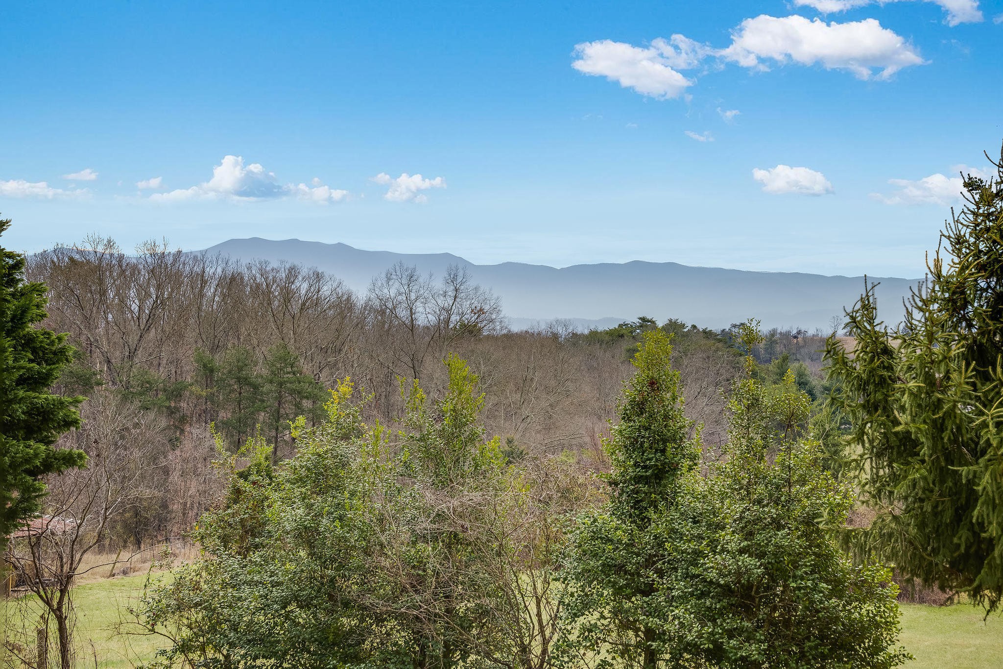 1443 Holbert Road Dandridge, TN 37725 - Photo 38 of 38 Gallery Image 38