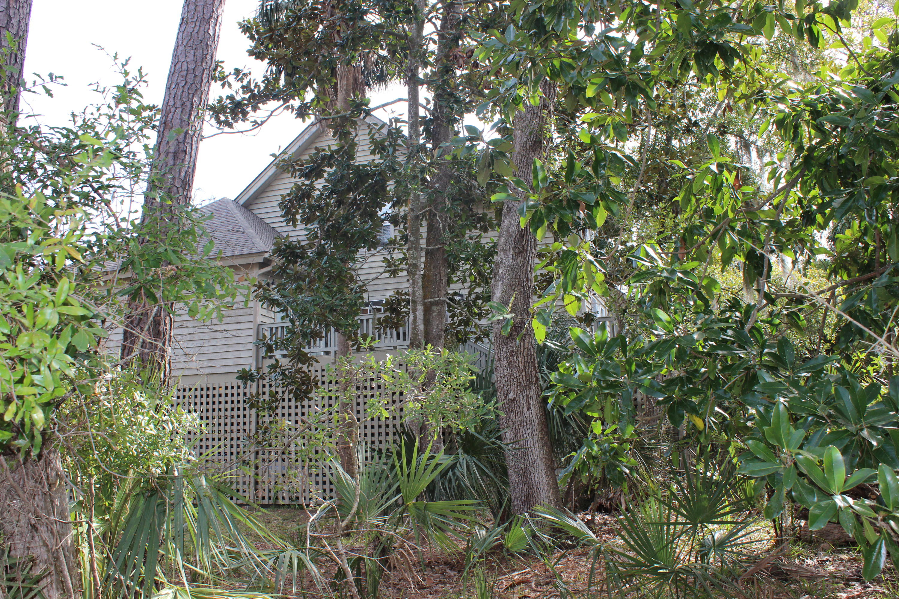 24 Rice Lane Edisto Beach, SC 29438 - Photo 3 of 61 Trees for Privacy