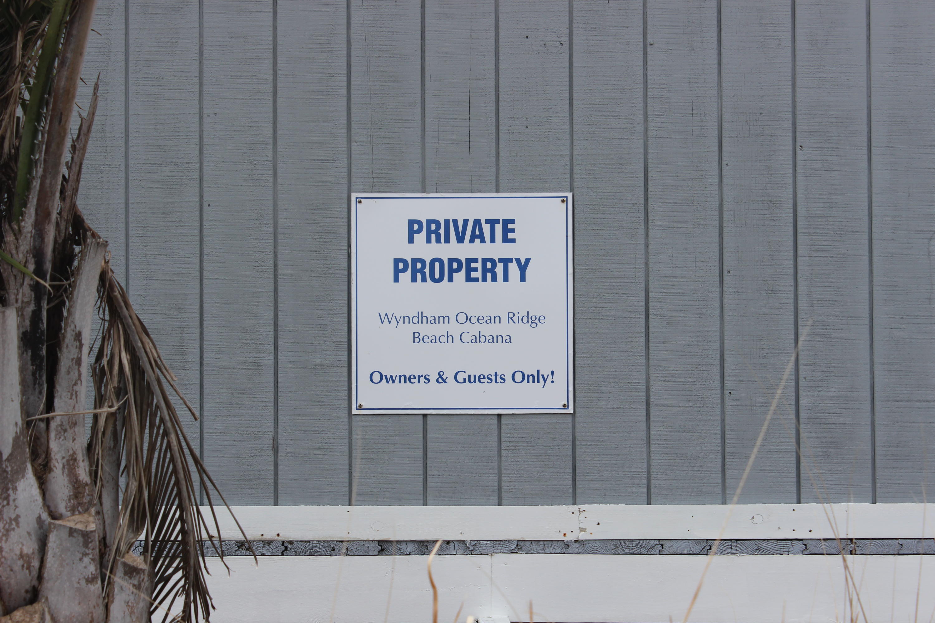 24 Rice Lane Edisto Beach, SC 29438 - Photo 48 of 61 Cabana 2