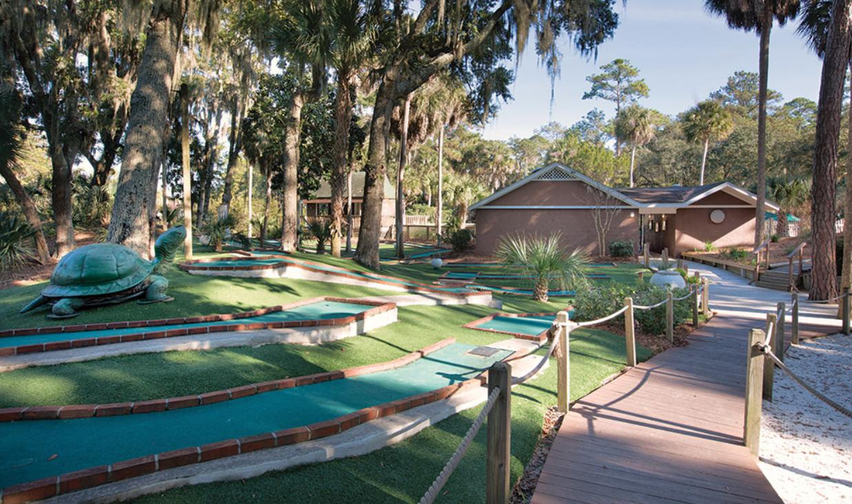 24 Rice Lane Edisto Beach, SC 29438 - Photo 57 of 61 Play Area 2
