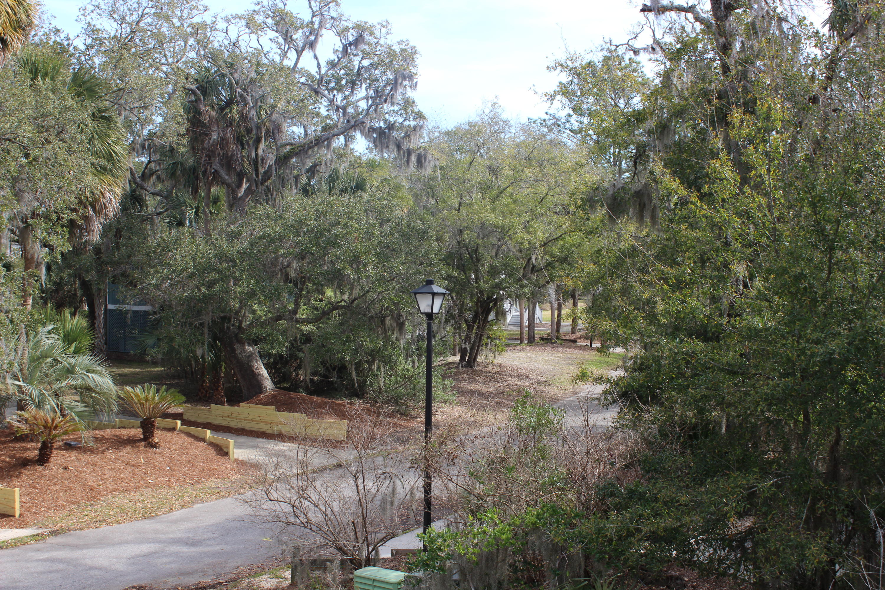 24 Rice Lane Edisto Beach, SC 29438 - Photo 8 of 61 IMG_0366