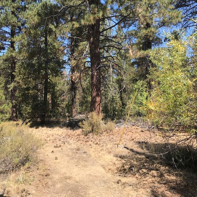 15962 Jackpine Road La Pine, OR 97739 - Photo 3 of 19 IMG_2499