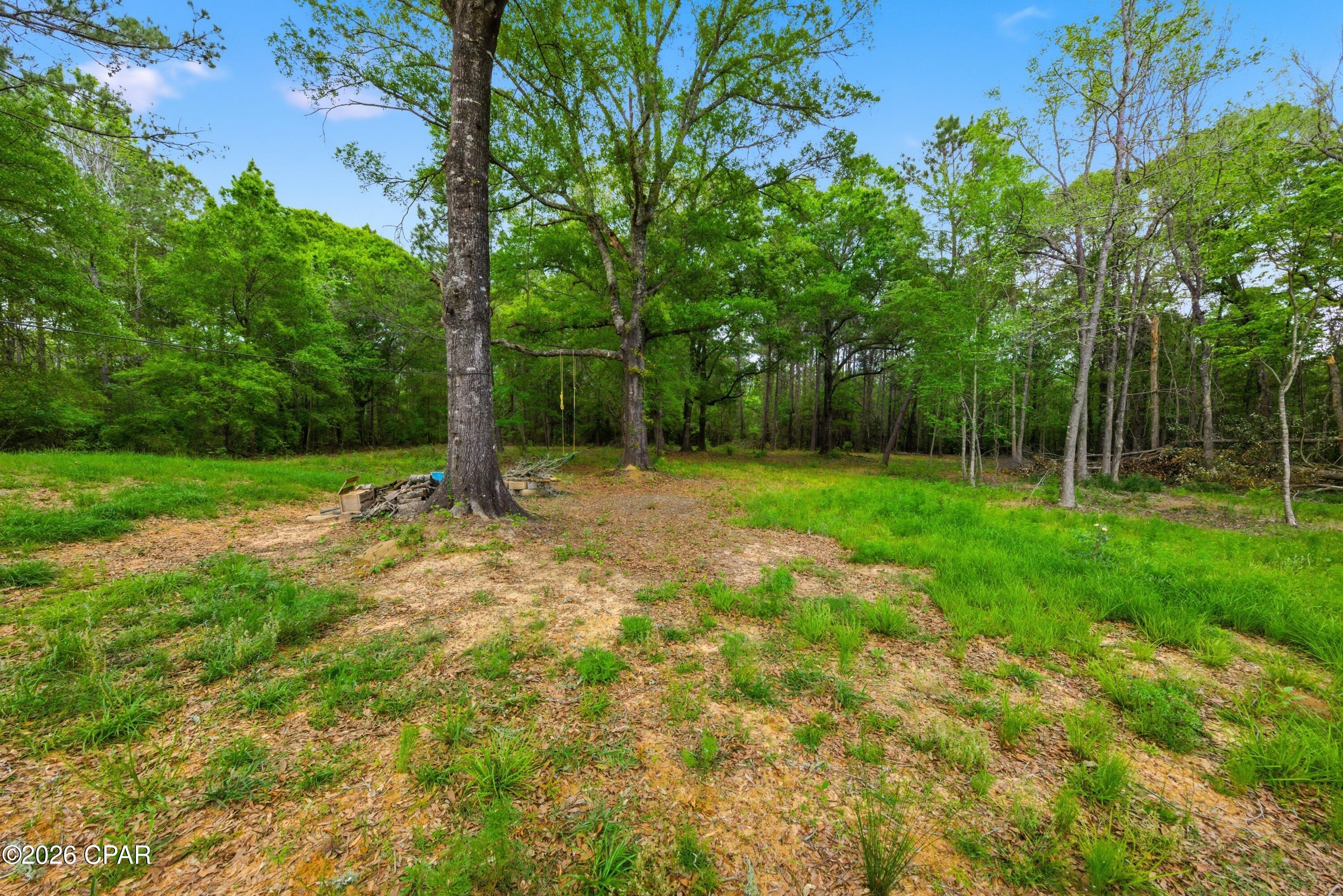 650 Satellite Road Graceville, FL 32440 - Photo 40 of 49
