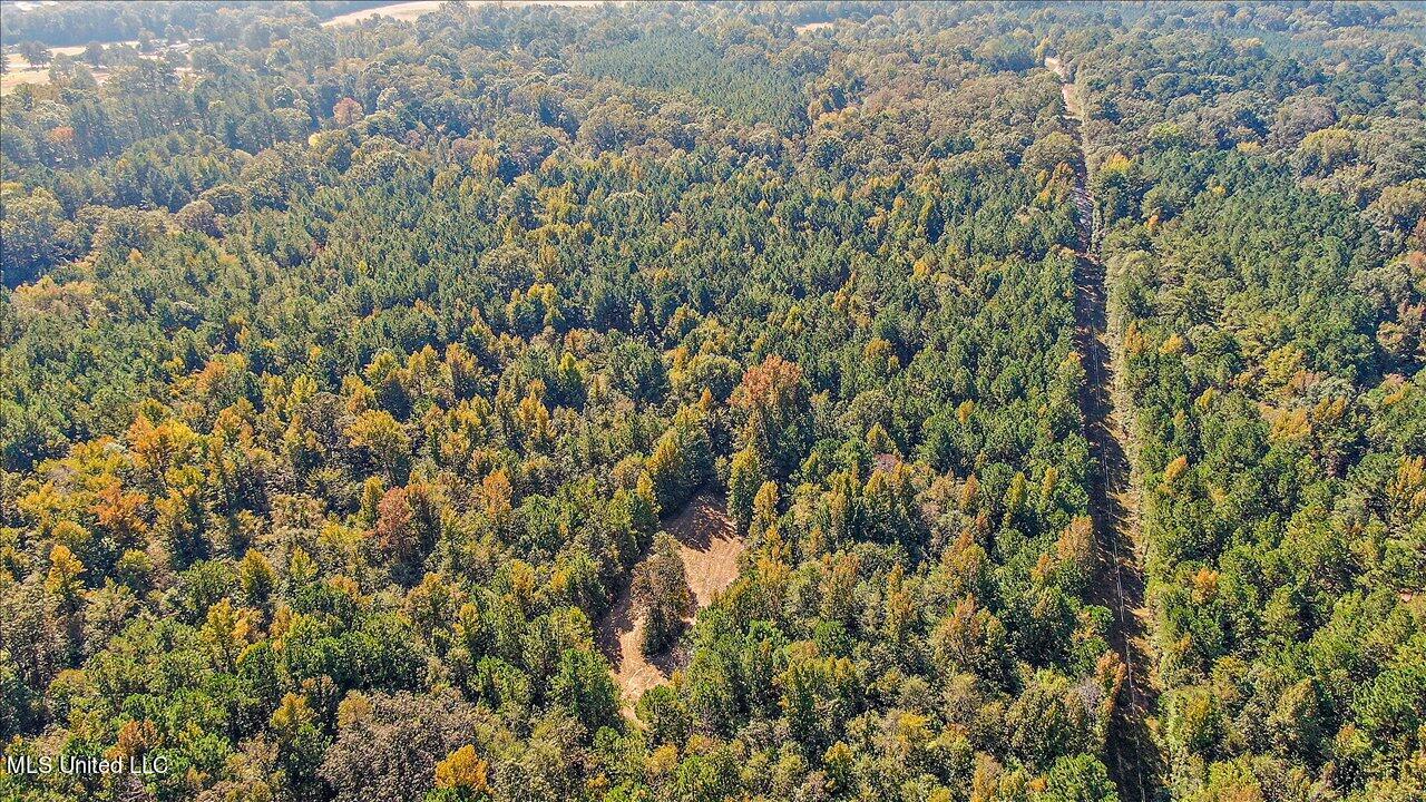 0 Cleary Road Florence, MS 39073 - Photo 9 of 25 09-00 Cleary Rd