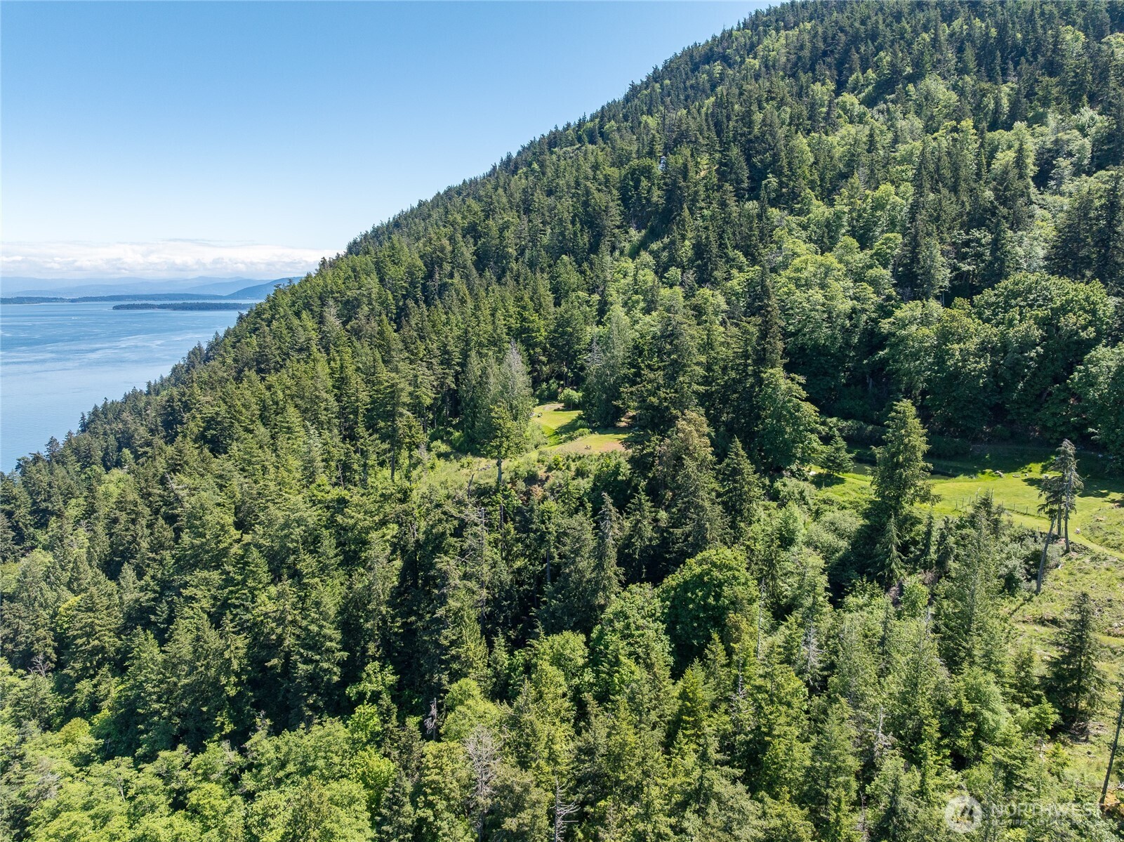 463 Wright Road Orcas Island, WA 98245 - Photo 29 of 40 a view of a garden with an ocean
