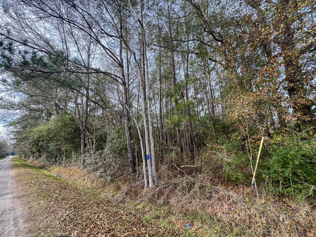 0 Fm 787 Saratoga, TX 77585 - Photo 5 of 7