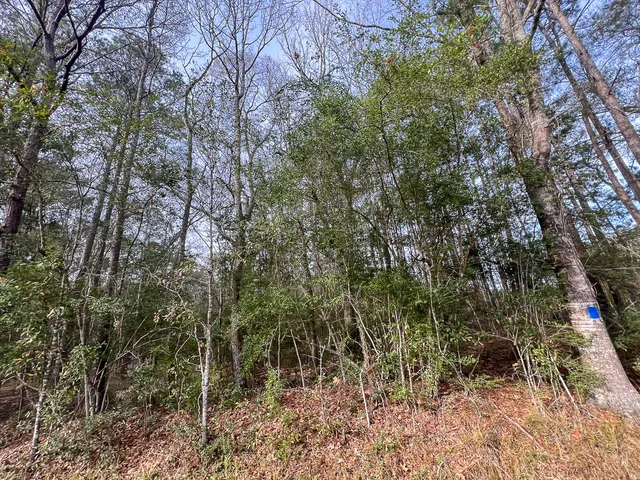 a view of an outdoor space with a tree