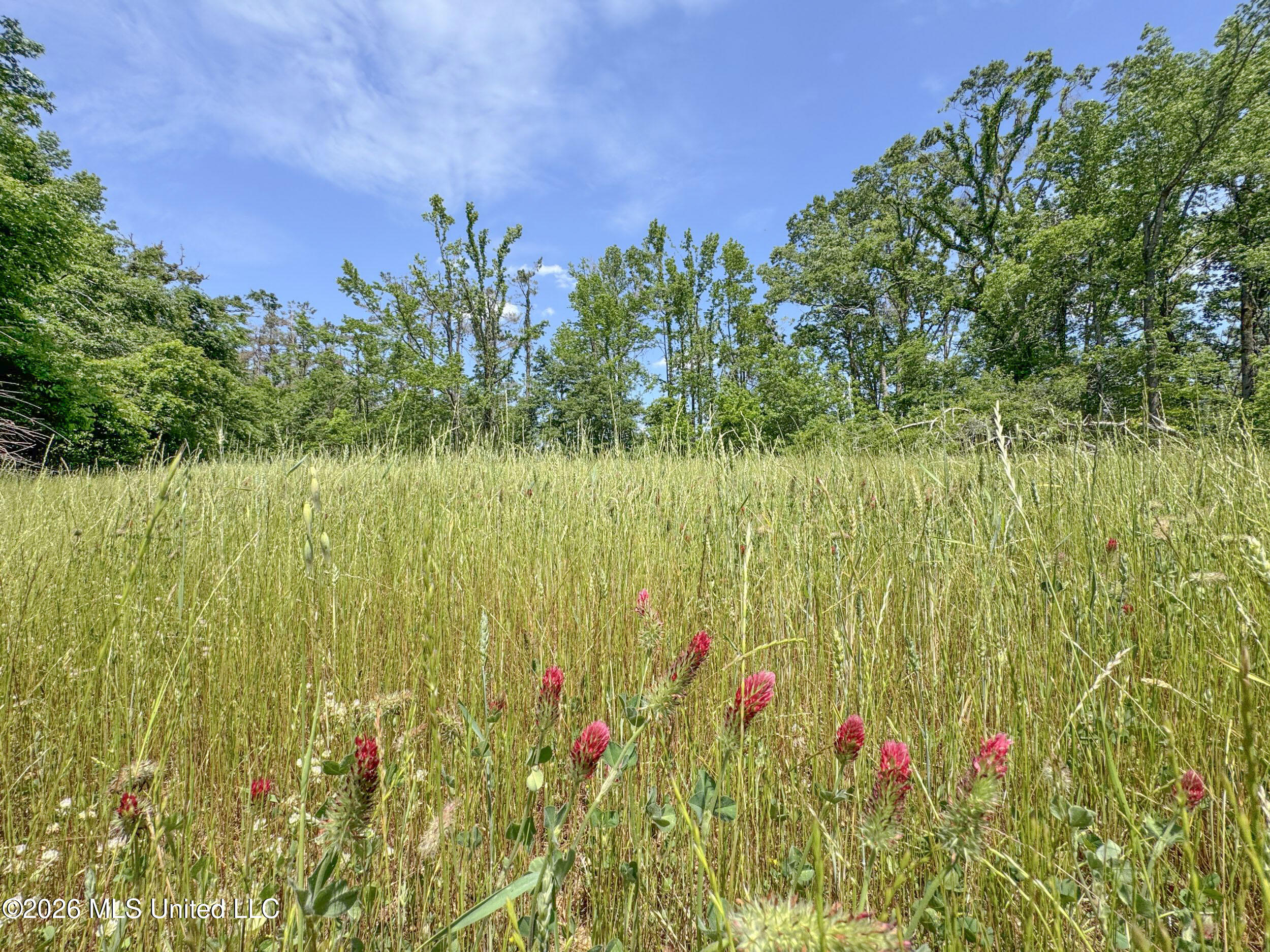 Chinqupin Road Lexington, MS 39095 - Photo 175 of 210 8chqpn39