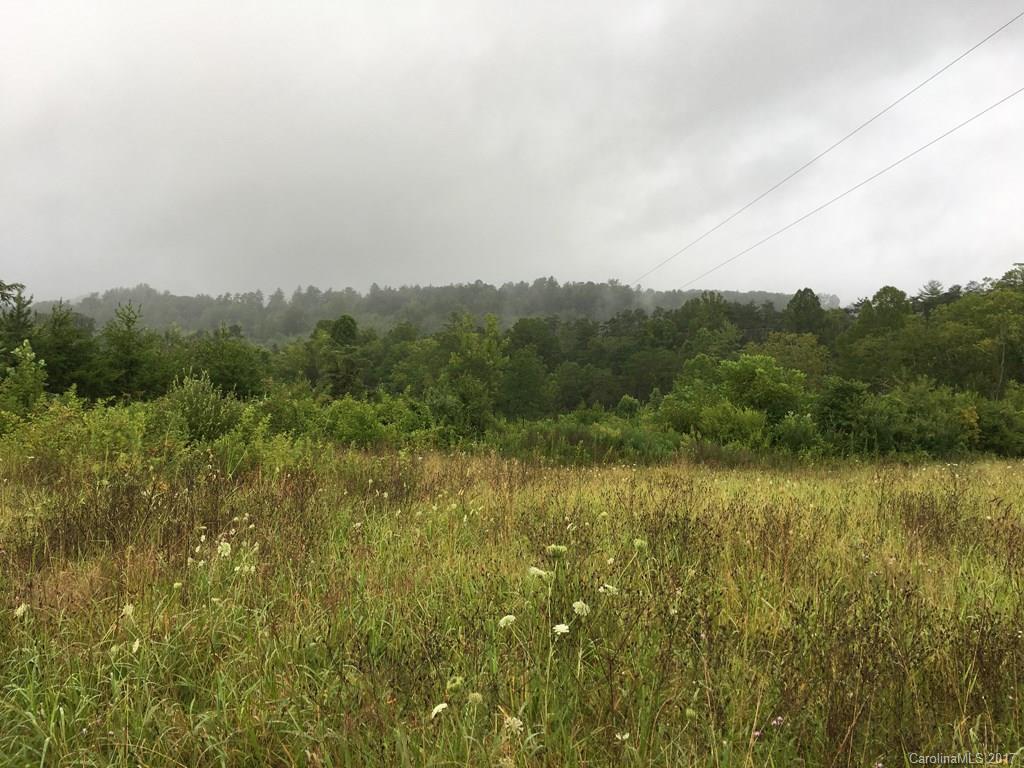 228 Mag Sluder Road Alexander, NC 28701 - Photo 2 of 7 Gallery Image 2