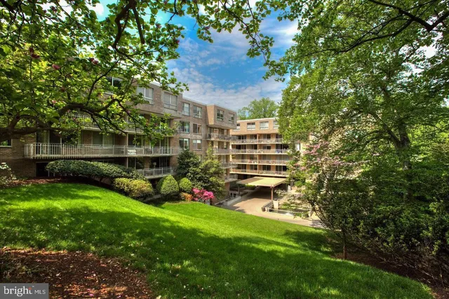 a view of a backyard with plants and a patio