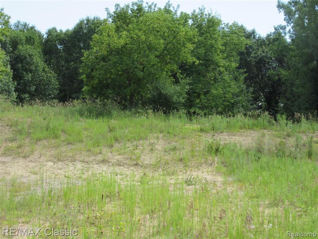 2015 Lone Tree Road Milford, MI 48380 - Photo 4 of 7