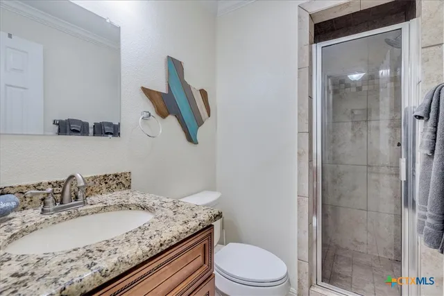 a bathroom with a granite countertop sink a toilet and shower