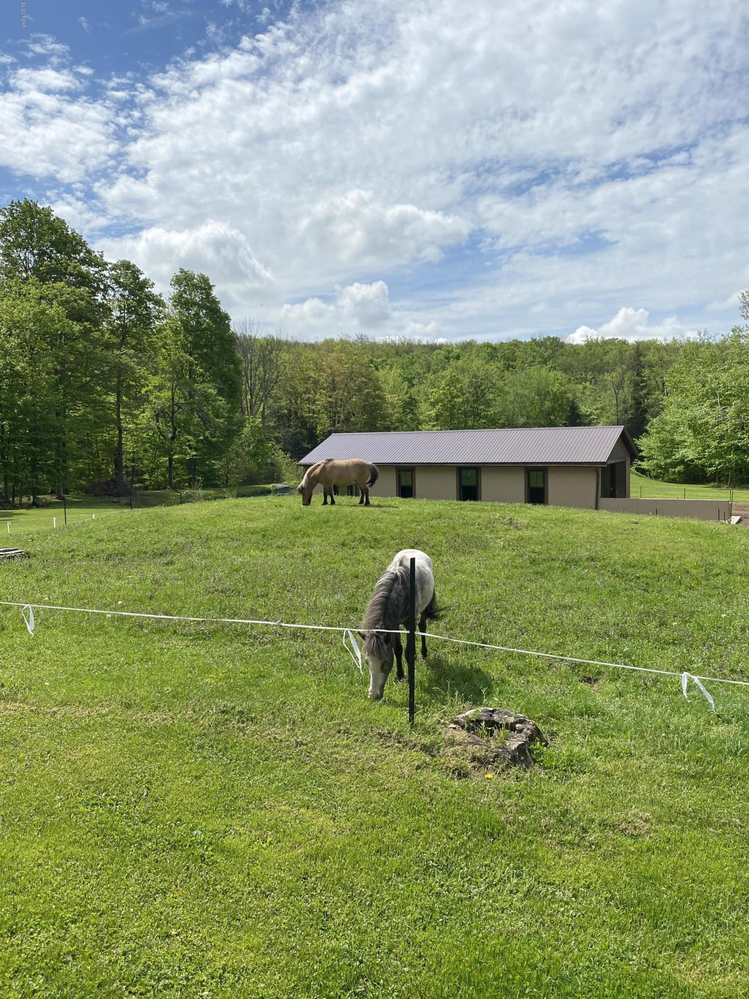 916 Ravnikar Road Forest City, PA 18421 - Photo 37 of 47 Barn