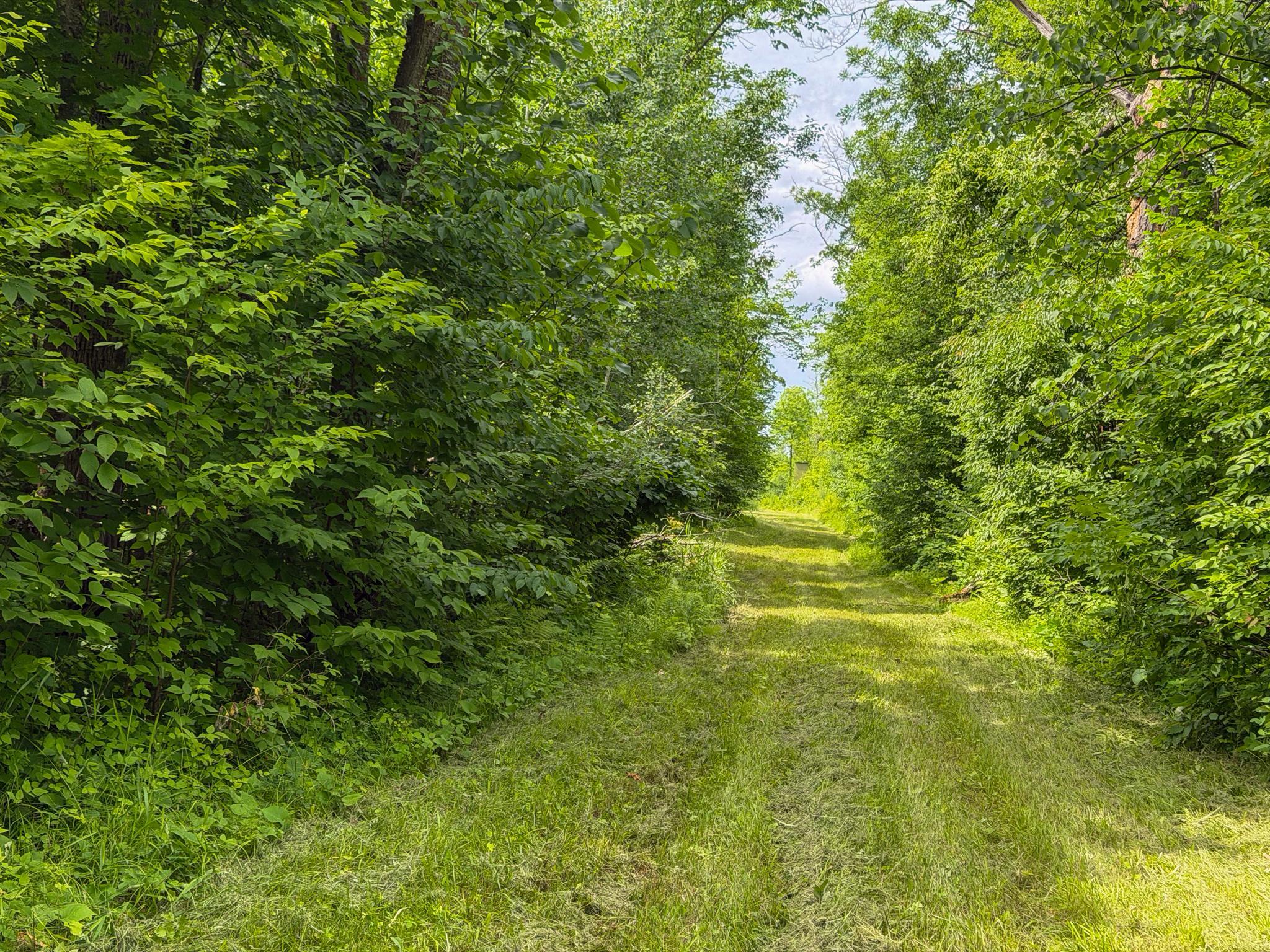 80-acres Pike Bay Loop Road Northwest Cass Lake, MN 56633 - Photo 27 of 27